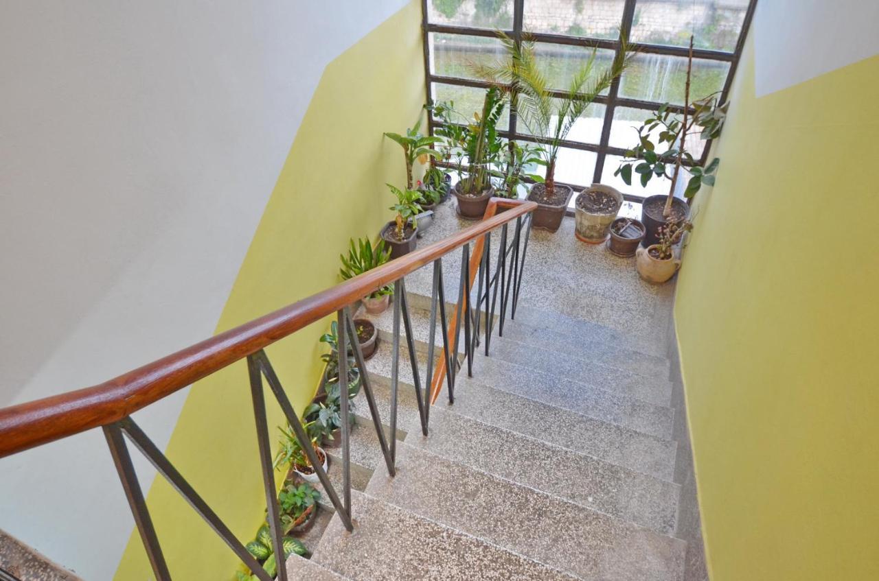 Central Art Oasis קוטור מראה חיצוני תמונה